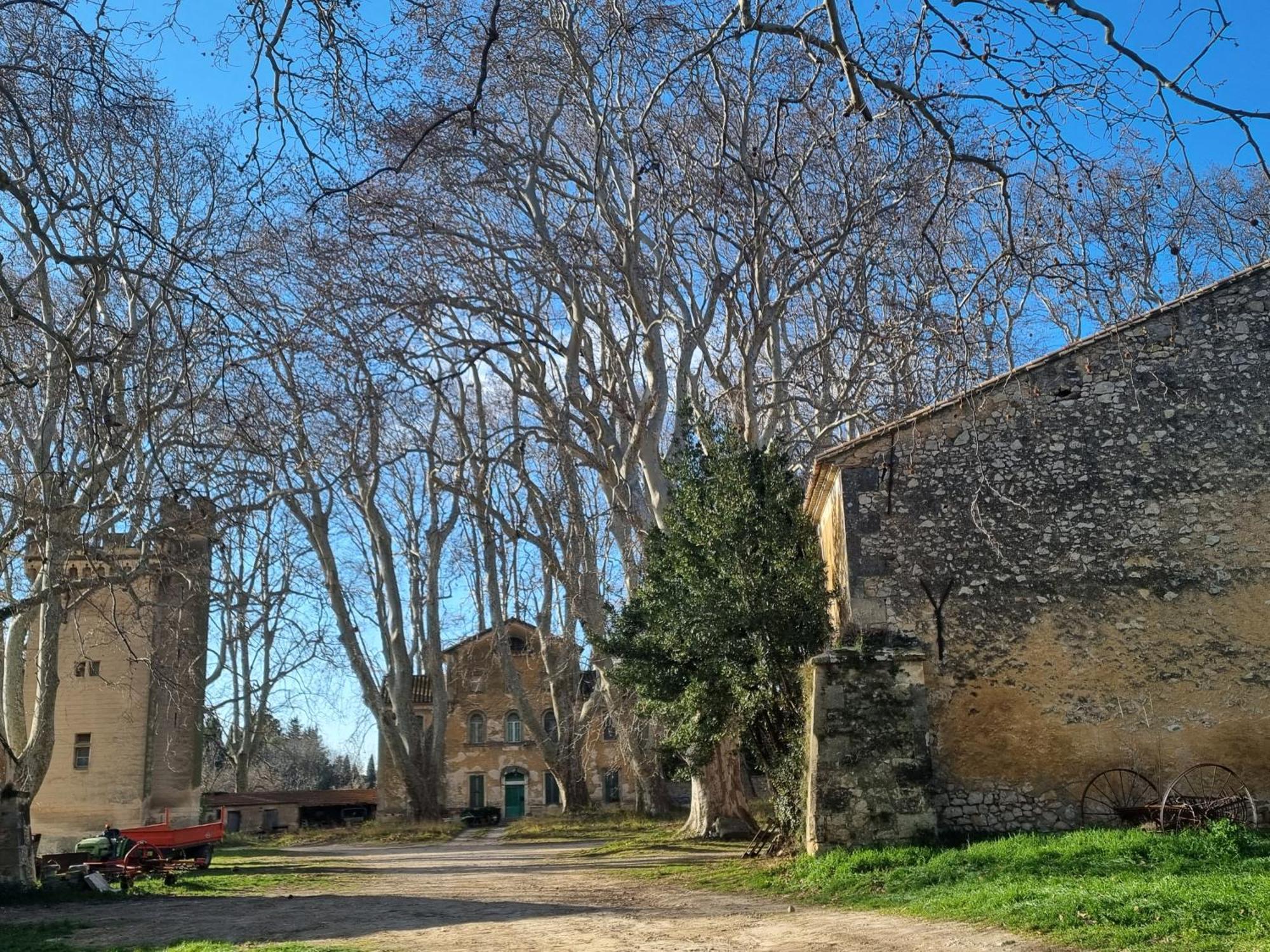 Les Garrigues De La Vallee Des Baux بارادو المظهر الخارجي الصورة