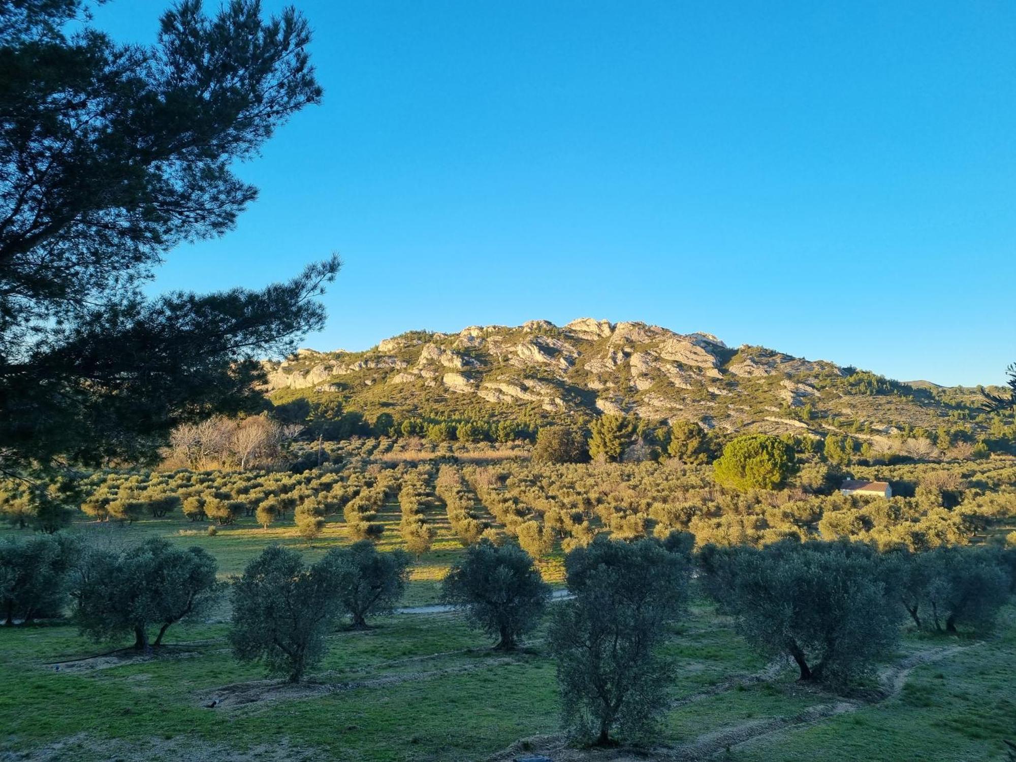 Les Garrigues De La Vallee Des Baux بارادو المظهر الخارجي الصورة