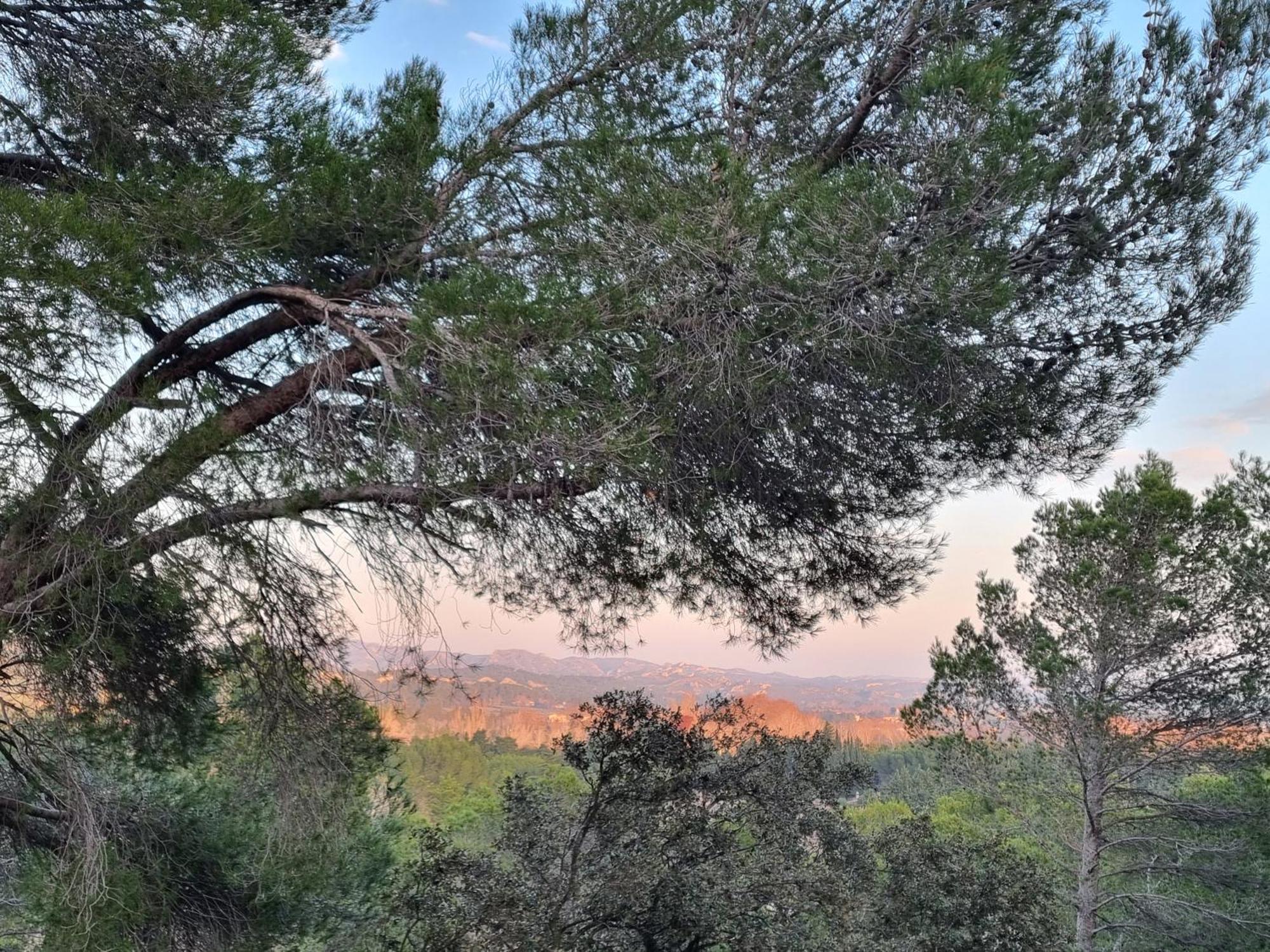 Les Garrigues De La Vallee Des Baux بارادو المظهر الخارجي الصورة